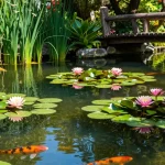 The Truth About Water Lilies Nobody Talks About: Essential Care Tips for 2026